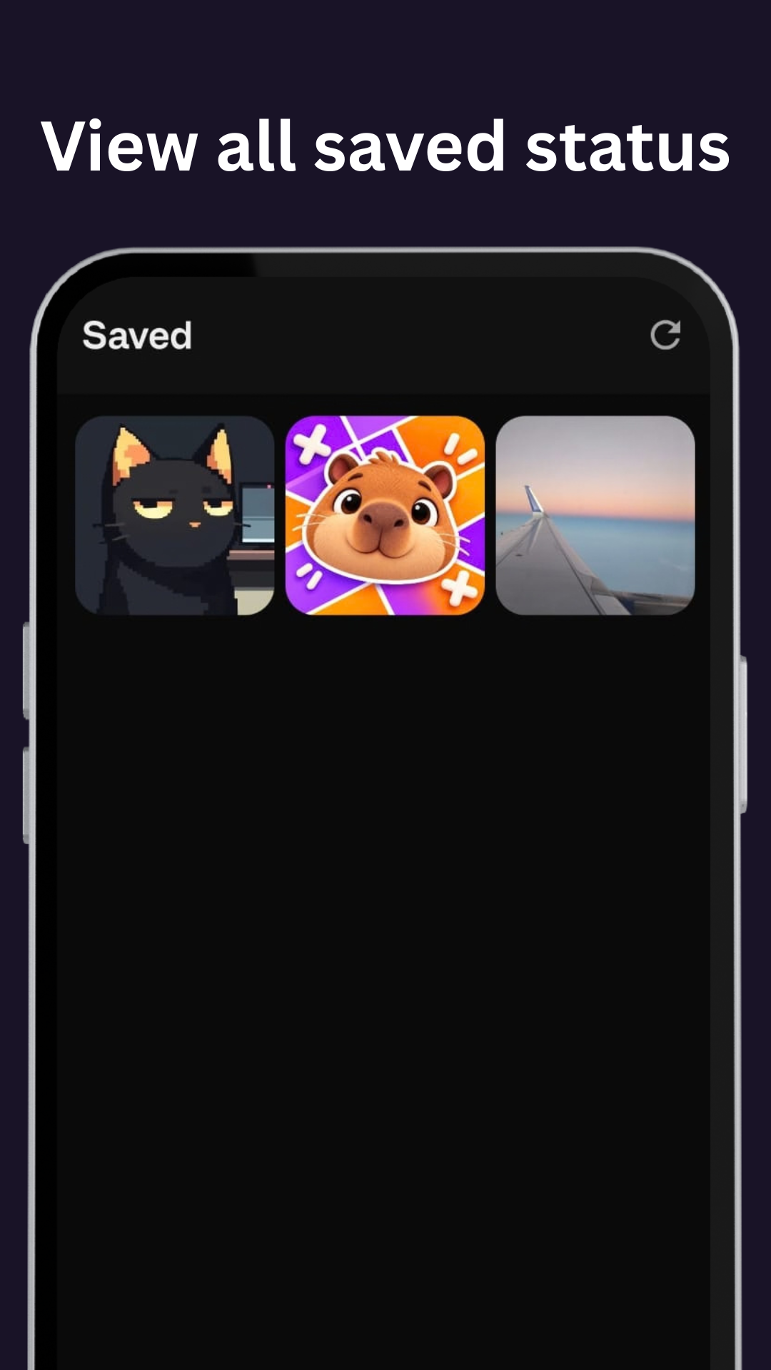 Status Saver screen 2